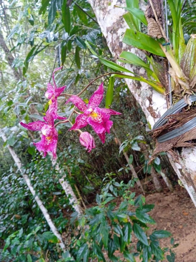 Casa De Campo Banheira, Lareira E Cachoeira Pedra Azul  Εξωτερικό φωτογραφία